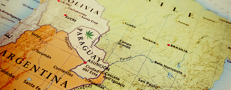 Legislazione Sulla Cannabis Del Sud America Del Paraguay Legislazione Sulla Cannabis Del Sud America Del Paraguay