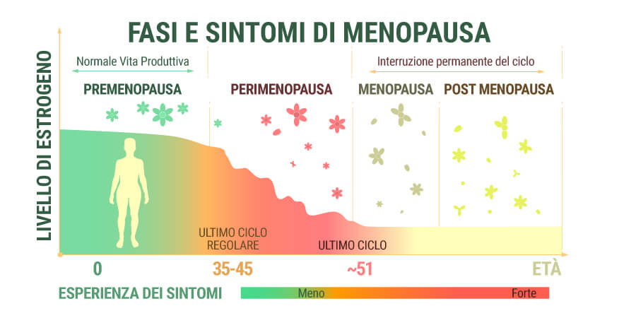 Fasi E Sintomi Della Menopausa Fasi E Sintomi Della Menopausa