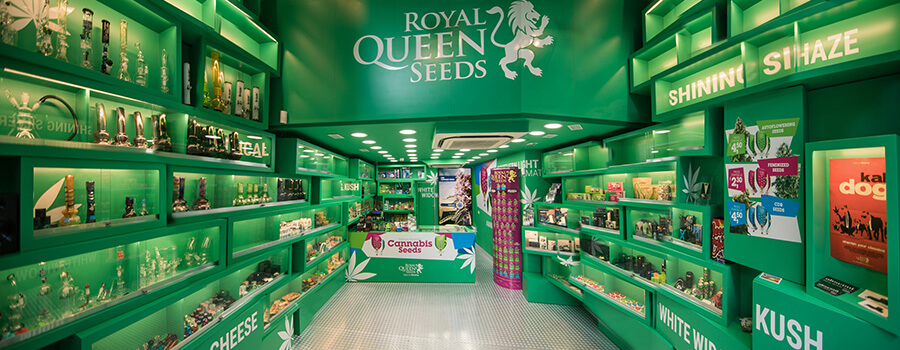 Negozio di semi di cannabis di semi della Royal Queen Seeds Barcellona Negozio di semi di cannabis di semi della Royal Queen Seeds Barcellona