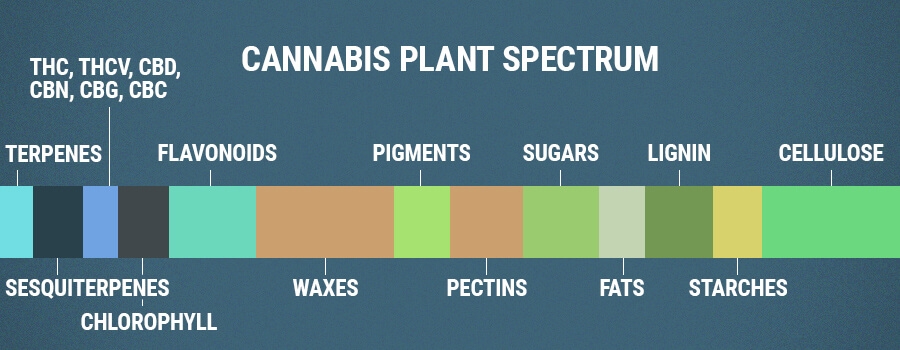 Flavonoidi Dello Spettro Delle Piante Di Cannabis