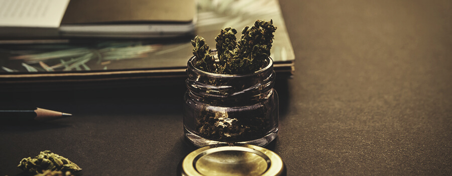 Cannabis E Studenti Cannabis E Studenti