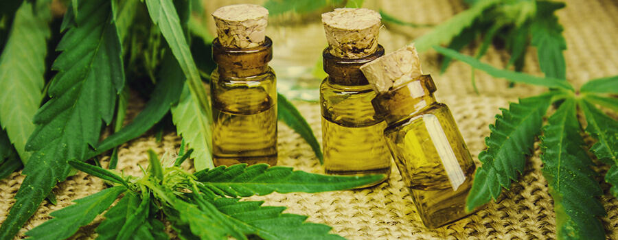 Tinture Cannabis Tinture Cannabis