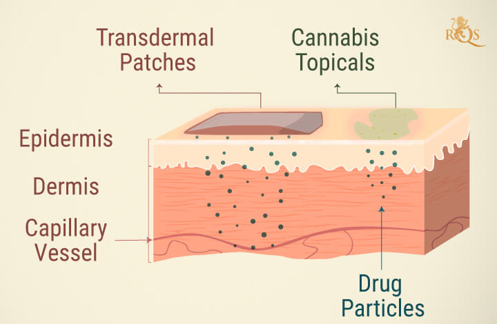 Cannabis topicals