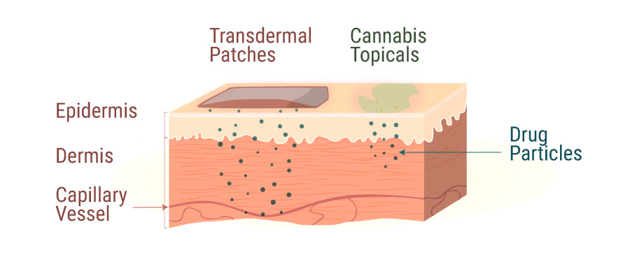 I Preparati Topici Vengono Infusi Con Svariati Cannabinoidi I Preparati Topici Vengono Infusi Con Svariati Cannabinoidi
