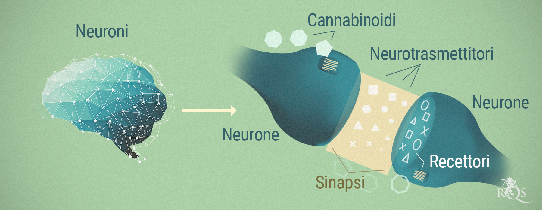 CBD E SCHIZOFRENIA CBD E SCHIZOFRENIA