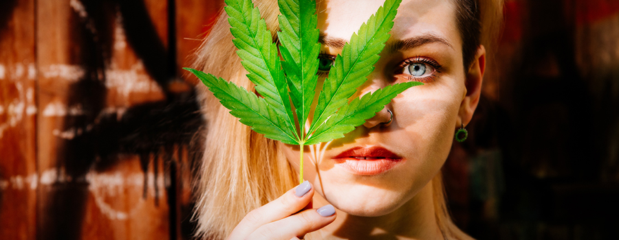 conversazione onesta genitori cannabis conversazione onesta genitori cannabis