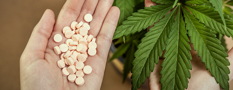 Cure sicure cannabis farmaci invece oppioidi Cure sicure cannabis farmaci invece oppioidi