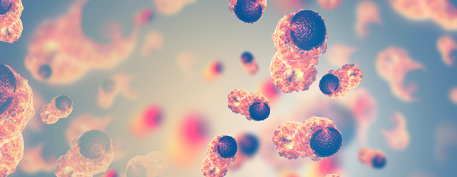 cannabis e cancro cannabis e cancro