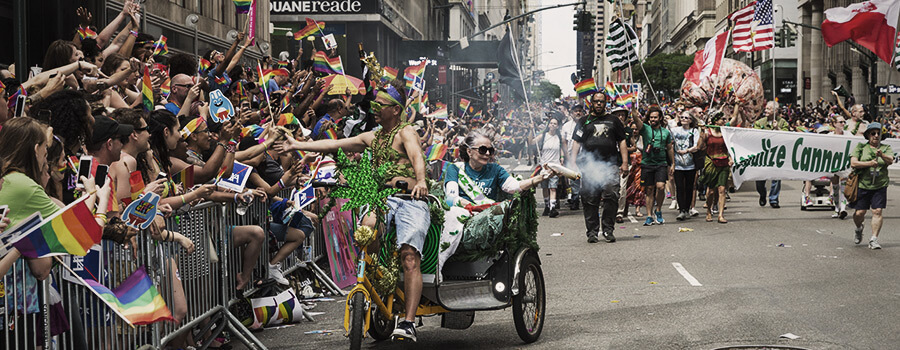 Cannabis Di Legalizzazione Di New York Cannabis Di Legalizzazione Di New York