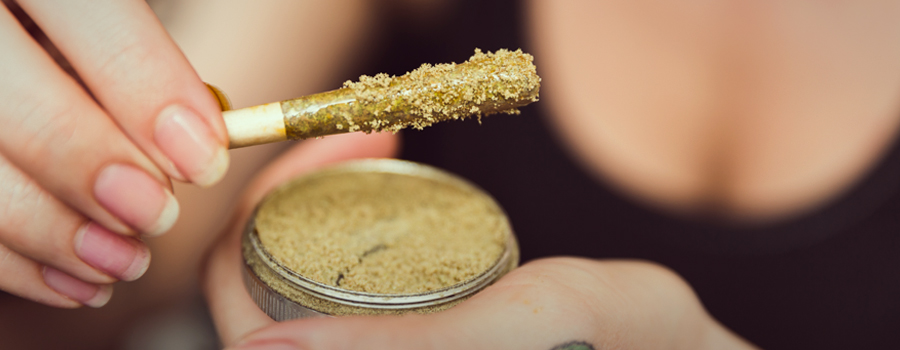 Cannabis marijuana kief