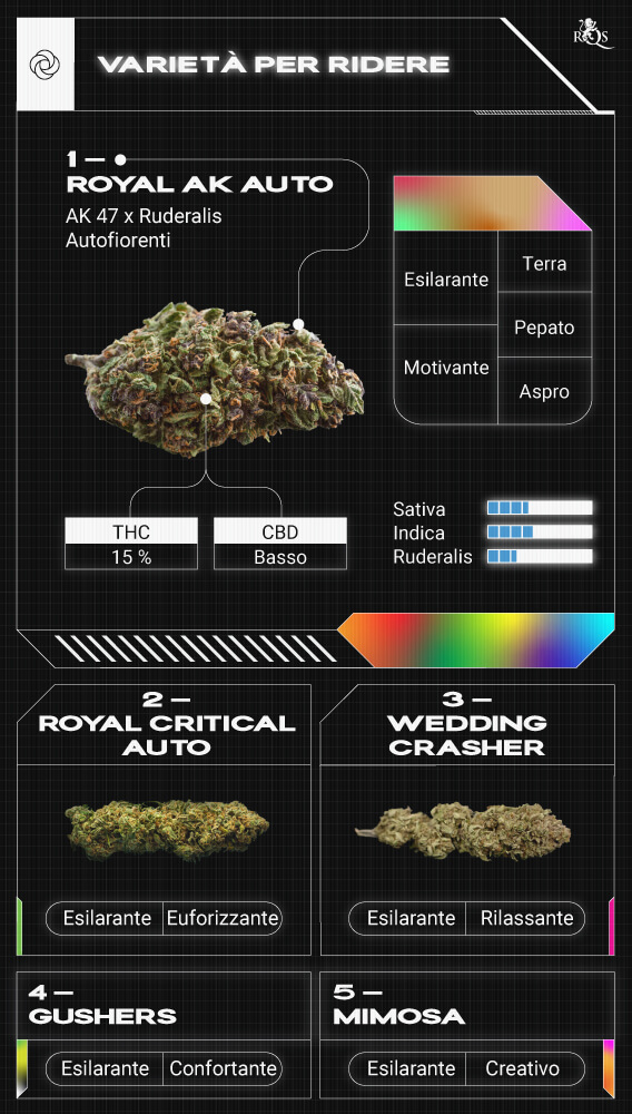 Top RQS Strains for Laughter