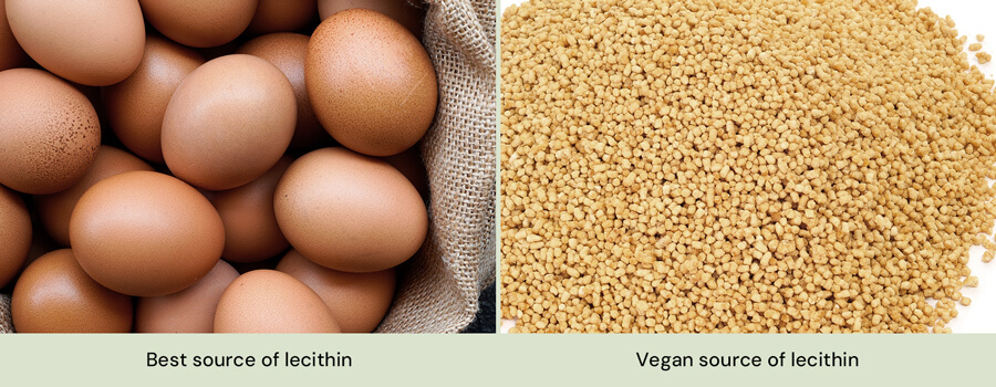 lecithin cources lecithin cources