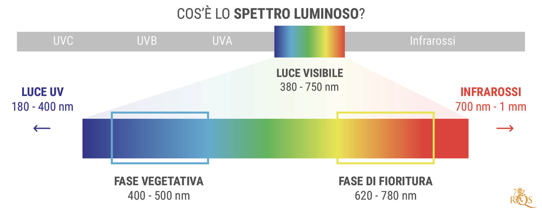 Cos'è Lo Spettro Luminoso?