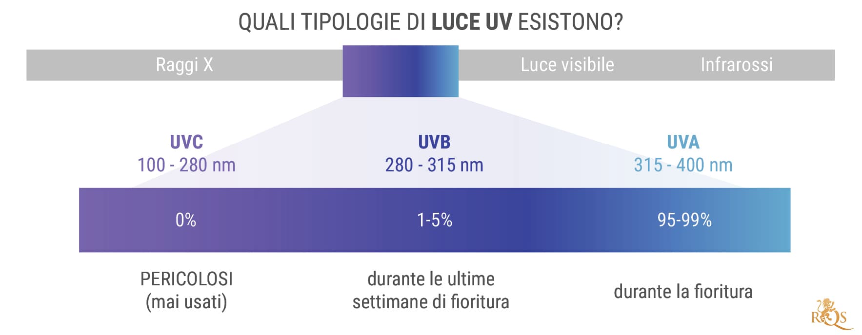 Quali Tipi di Luce UV Esistono?