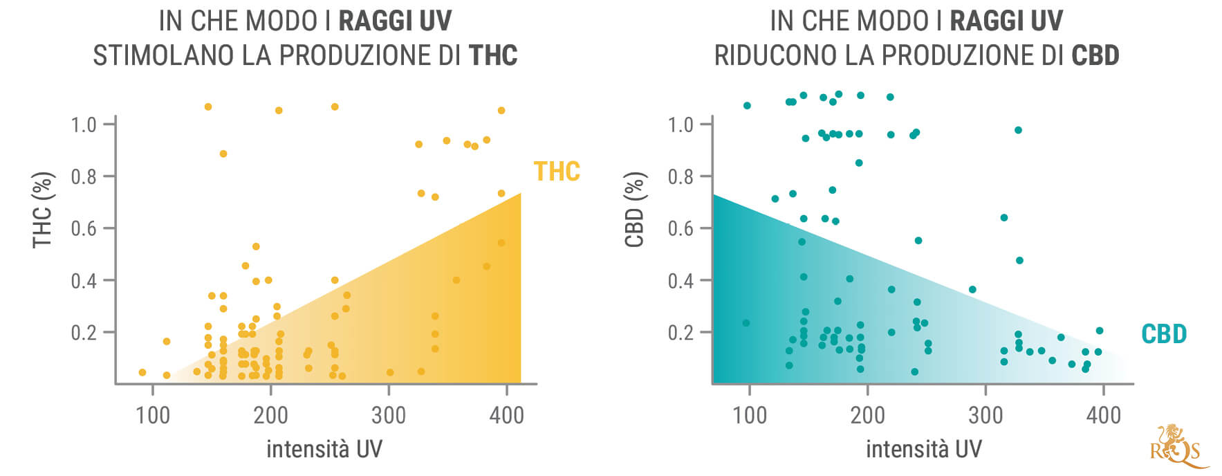 I Vantaggi della Luce UV per le Piante di Cannabis