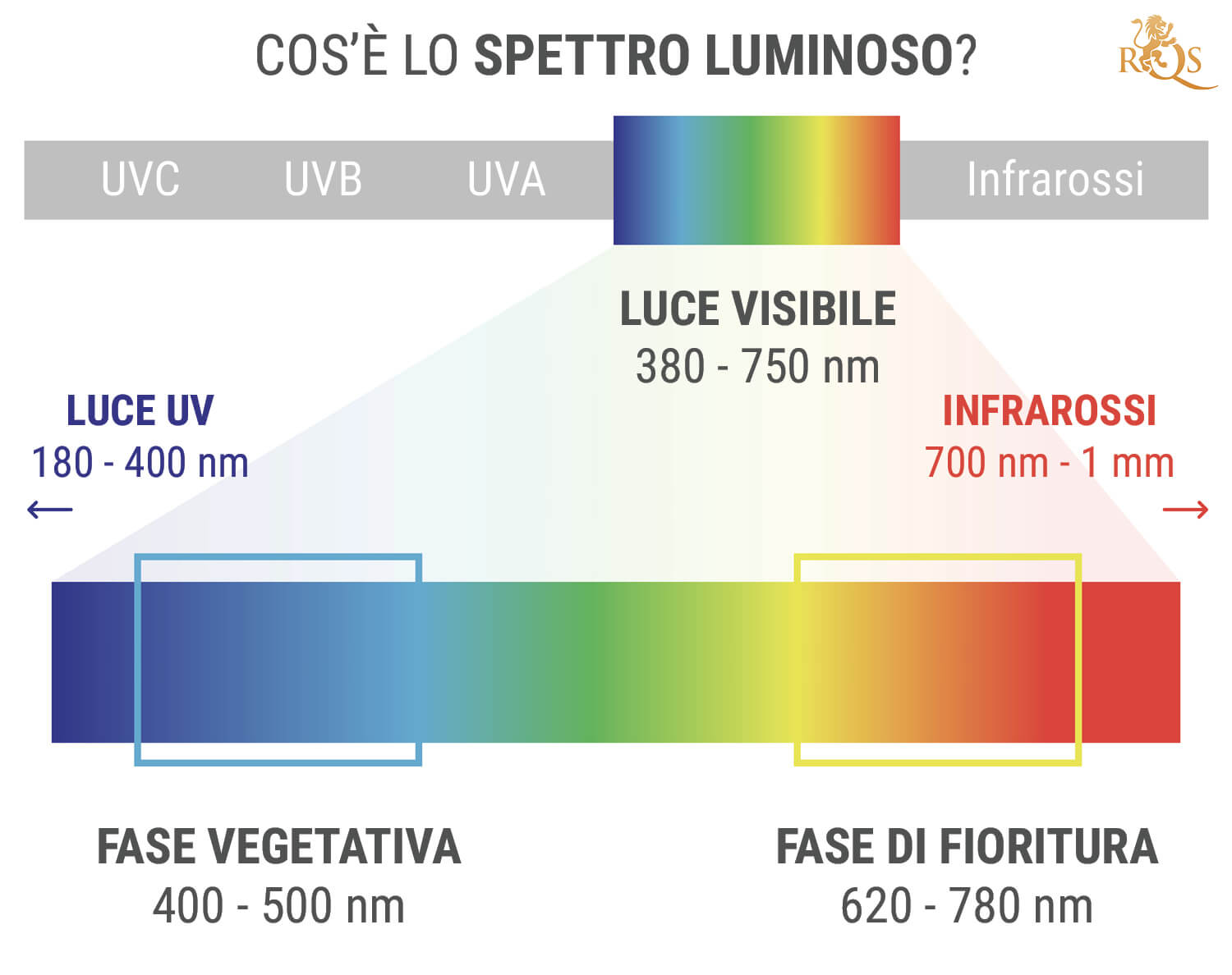 Cos'è Lo Spettro Luminoso? Cos'è Lo Spettro Luminoso?
