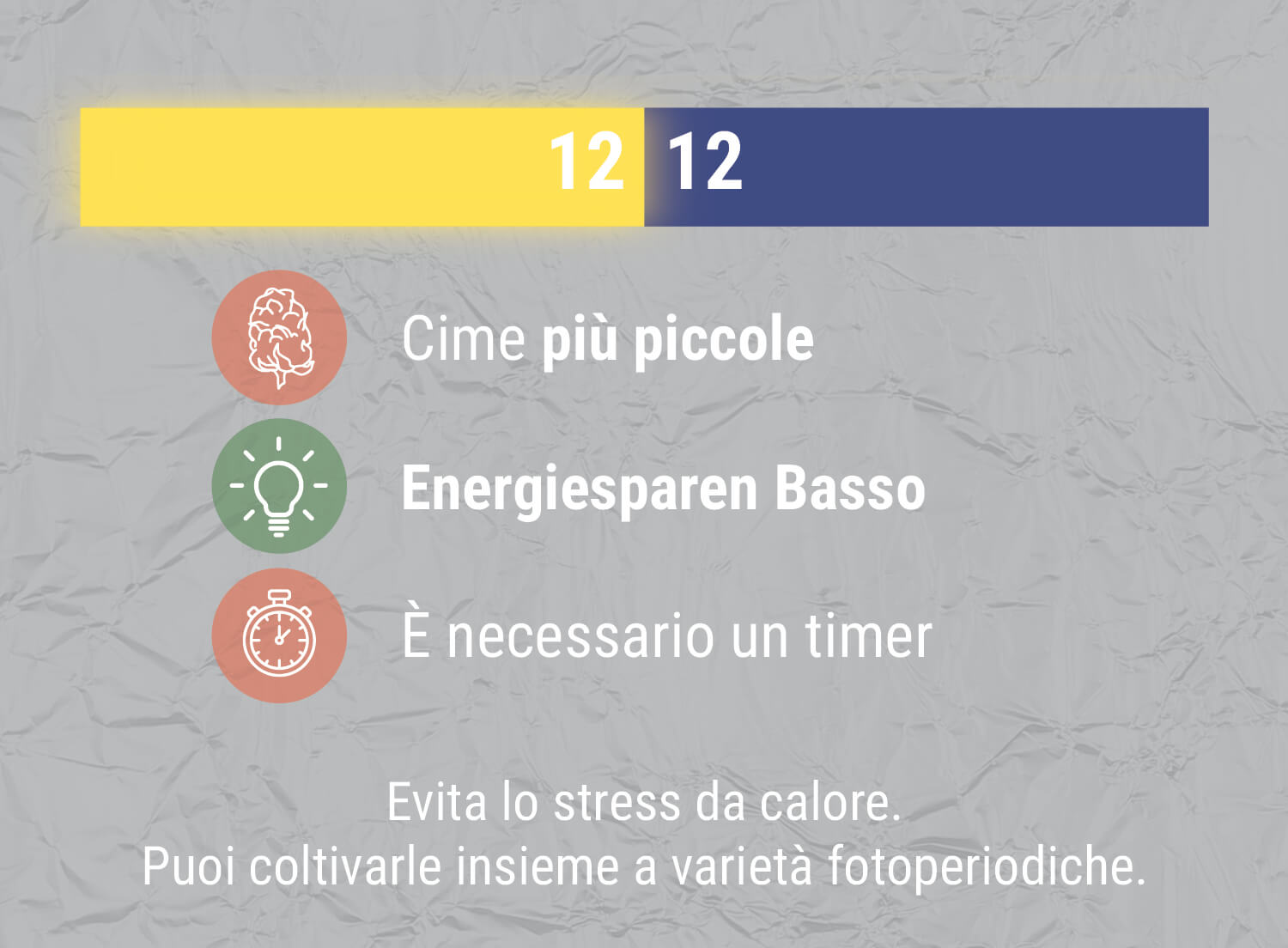 E PER QUANTO RIGUARDA IL CICLO DI LUCE 12/12?