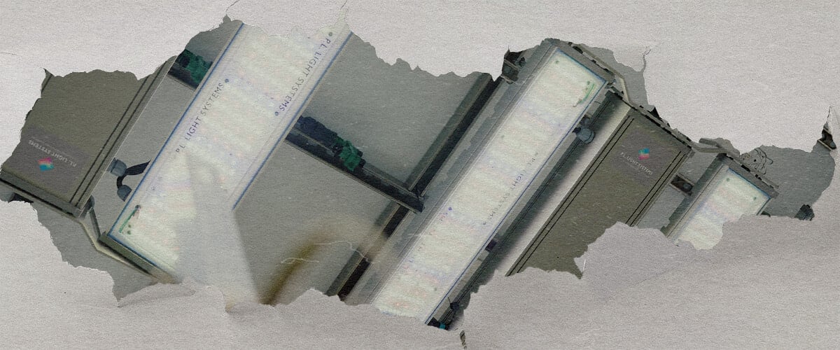 Guida Illuminazione e Controllo Cannabis CRIC Labs Un'illustrazione di una sala di coltivazione luminosa di CRIC Labs con ibridi F1 di cannabis, con illuminazione PPFD di 1000 μmol, sensori per umidità e temperatura, e fertirrigazione con mezzo di coltura inerte, su uno sfondo verde.