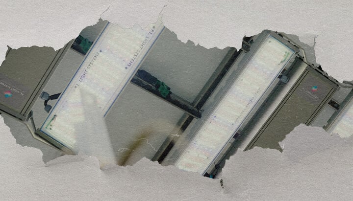 Guida Illuminazione e Controllo Cannabis CRIC Labs Un'illustrazione di una sala di coltivazione luminosa di CRIC Labs con ibridi F1 di cannabis, con illuminazione PPFD di 1000 μmol, sensori per umidità e temperatura, e fertirrigazione con mezzo di coltura inerte, su uno sfondo verde.