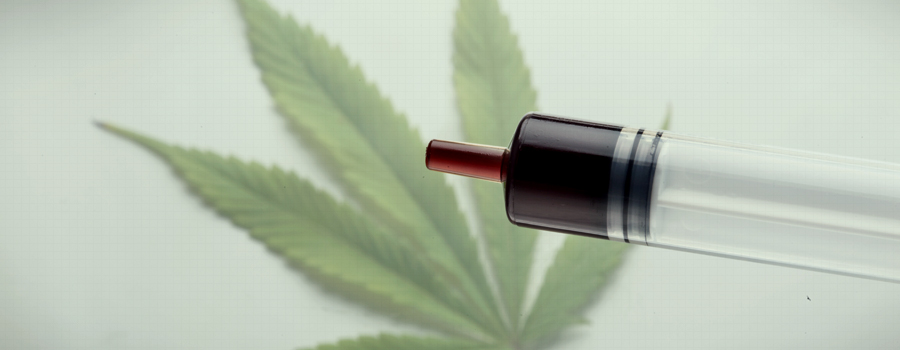 Degenerativa malattia del disco cbd trattamento olio
