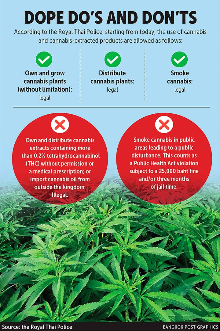 Nuove leggi sulla ganja in Thailandia: Una panoramica