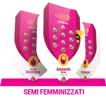 femminizzati-semi-cannabis