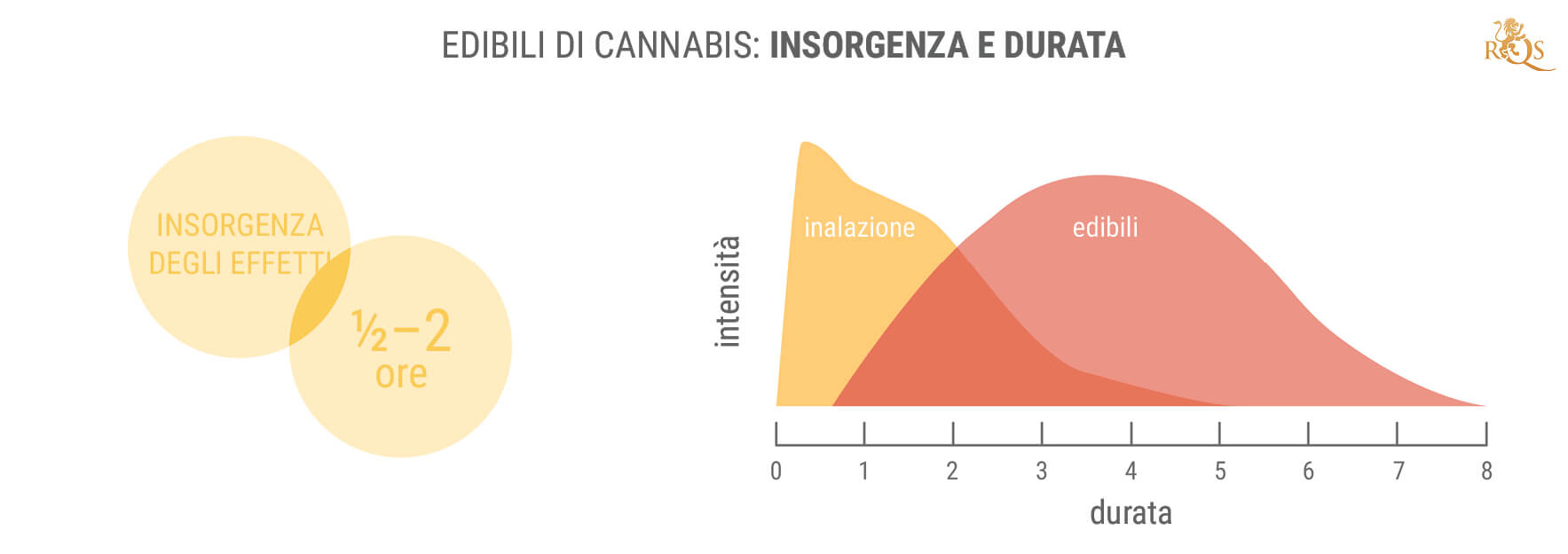 I Benefici dell’11-idrossi-THC e degli Edibili