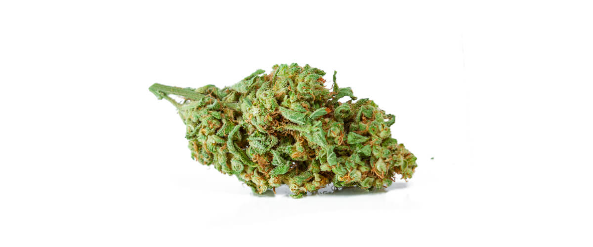 Cos'è la cannabis mid? Cos'è la cannabis mid?