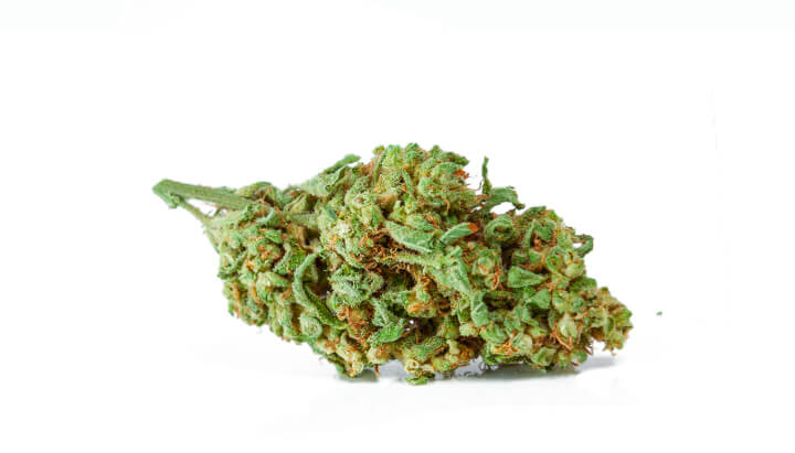 Cos'è la cannabis mid? Cos'è la cannabis mid?