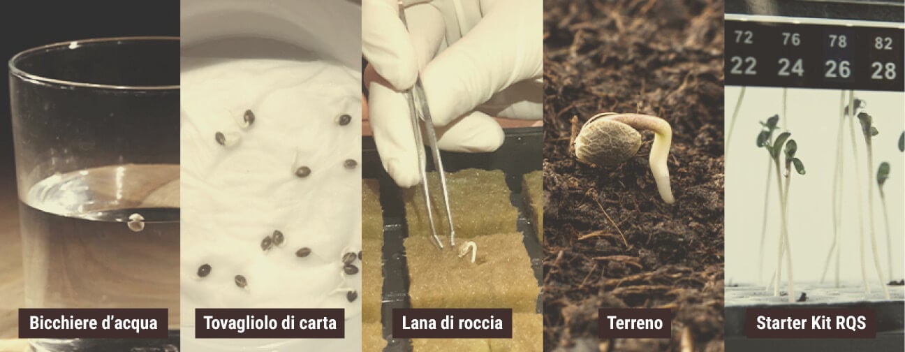 METODI DI GERMINAZIONE