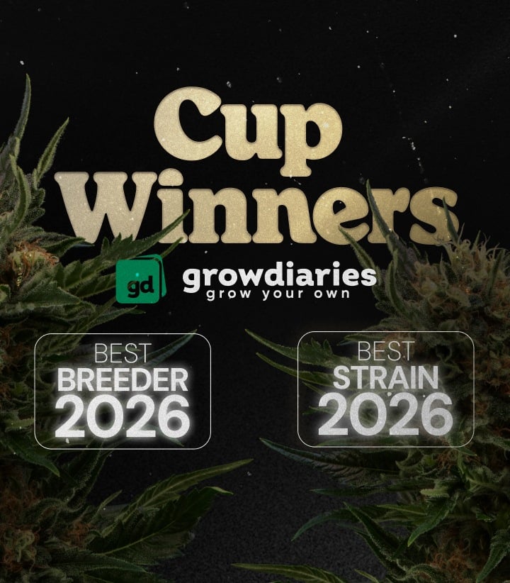 Banner dei premi cannabis Cup Winners 2026 con la migliore varietà e il miglior breeder, cime di cannabis e logo GrowDiaries