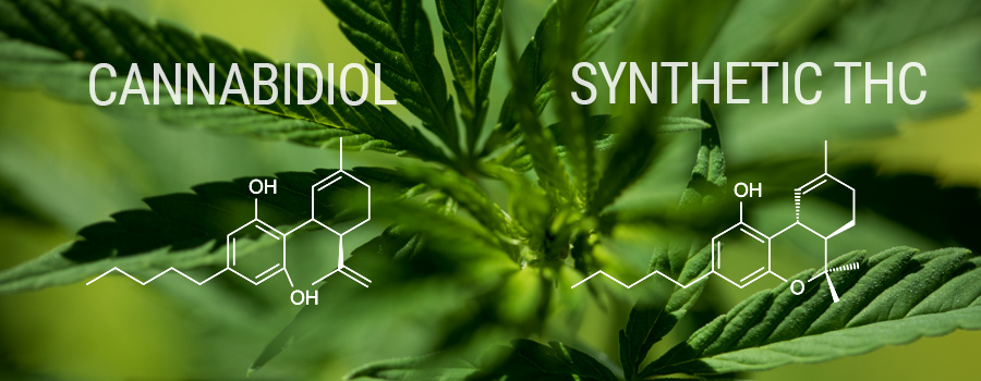 Marinol composizione sintetica thc