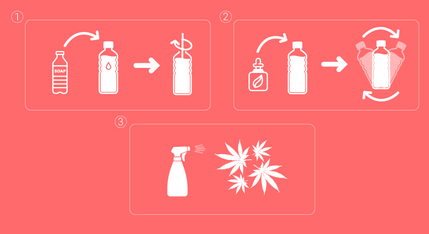 Mixing Neem Oil and Insecticial Soap