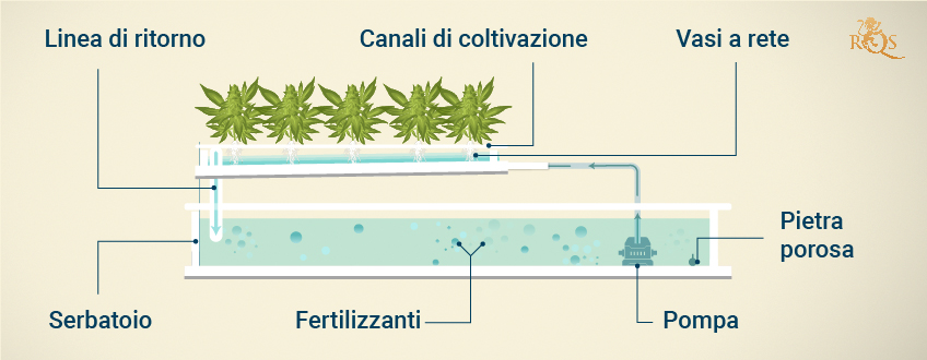 Nutrient Film Technique (NFT) Hydroponic System