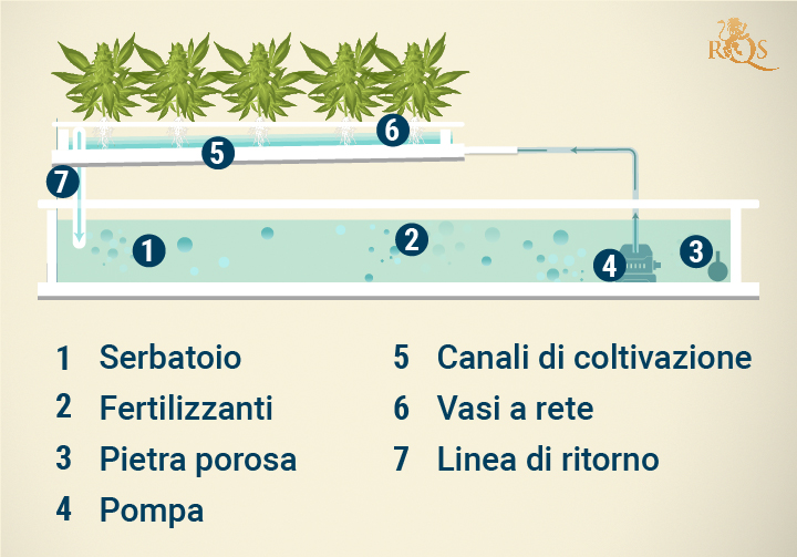 Nutrient Film Technique (NFT) Hydroponic System