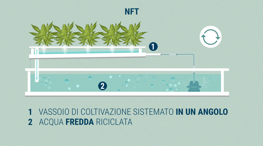 Nutrient Film Technique Nutrient Film Technique