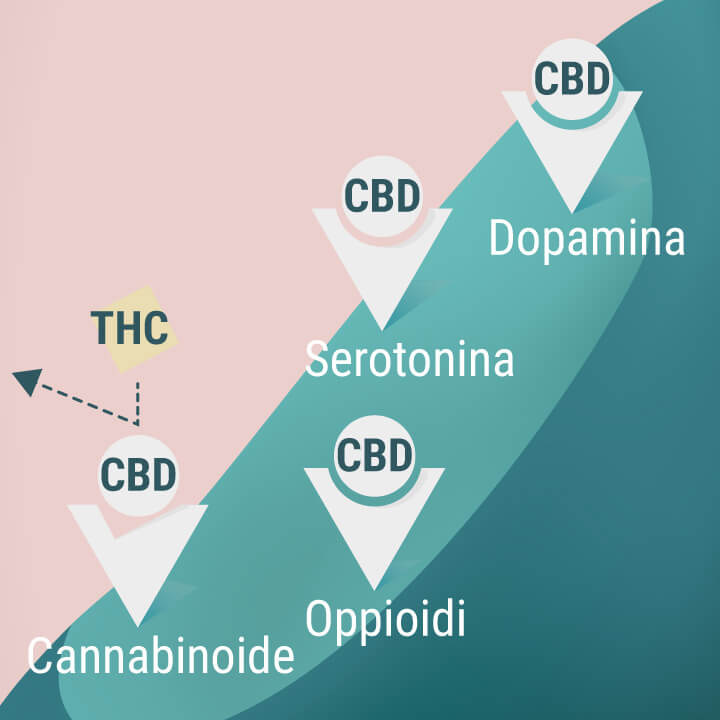 Recettori dei cannabinoidi, oppioidi, serotonina e dopamina