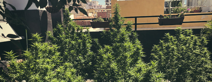 Le basi del balcone Le basi del balcone