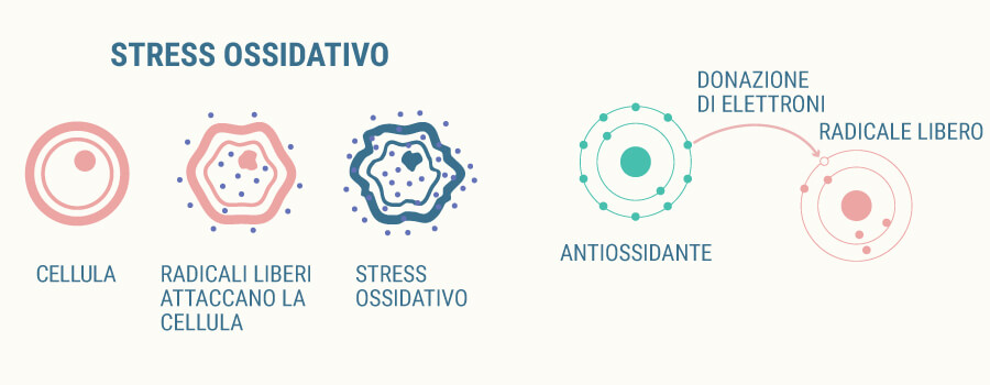 Estrés oxidativo