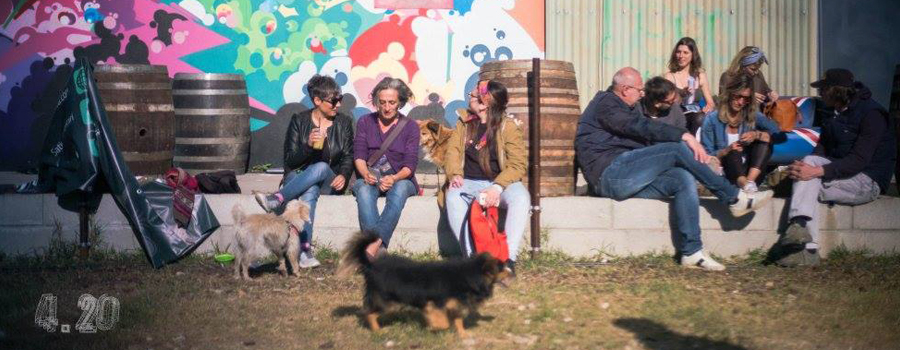 Hemp Fest 2017 Milan all'aperto