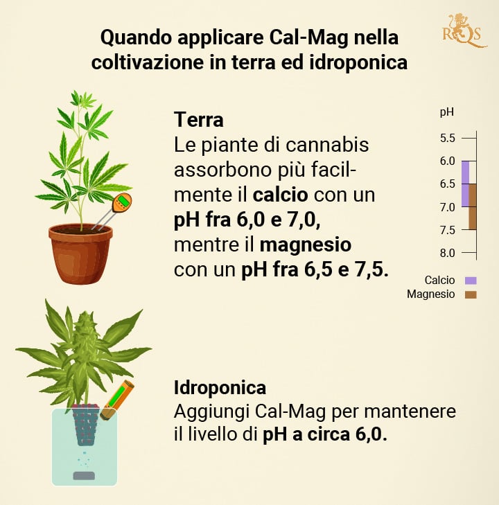 When to apply Cal-Mag