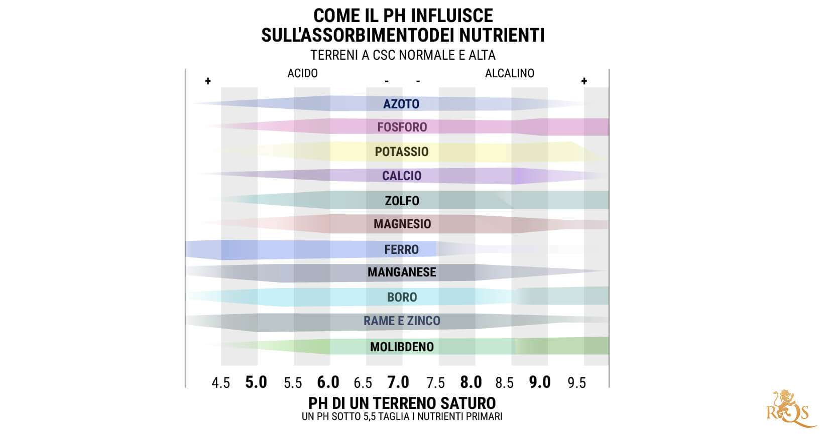 Tabella del pH per le Colture in Suolo: 6,0–7,0