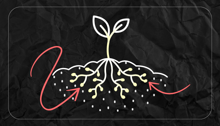 What is Pythium What is Pythium