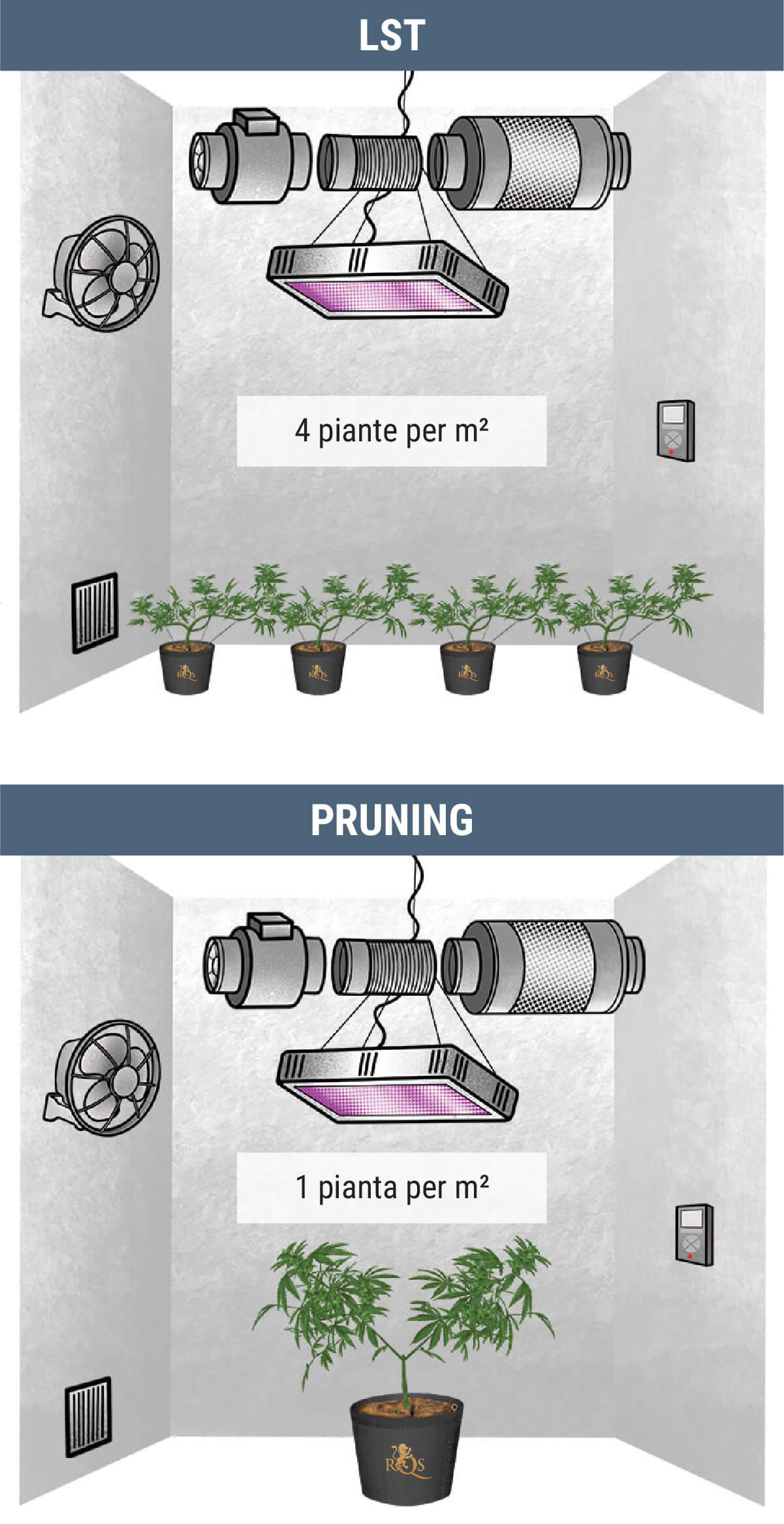 Quante Piante di Cannabis Posso Coltivare per Metro Quadrato?