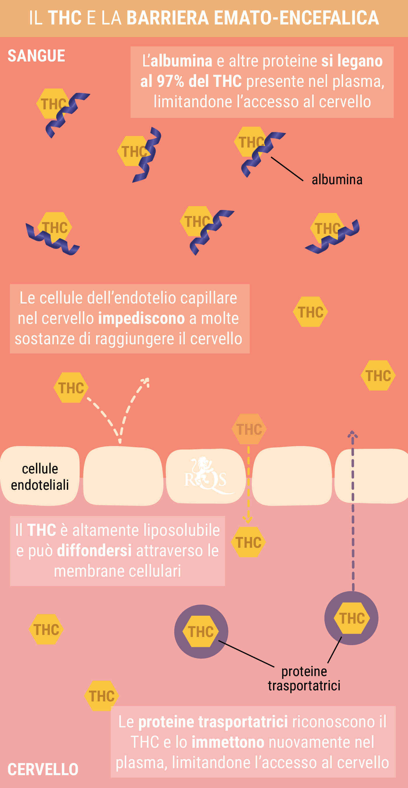 Che Cosa Sono i Postumi della Marijuana?