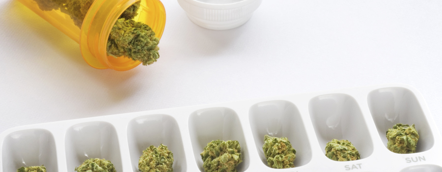 Regolamento di cannabis governo tedesco