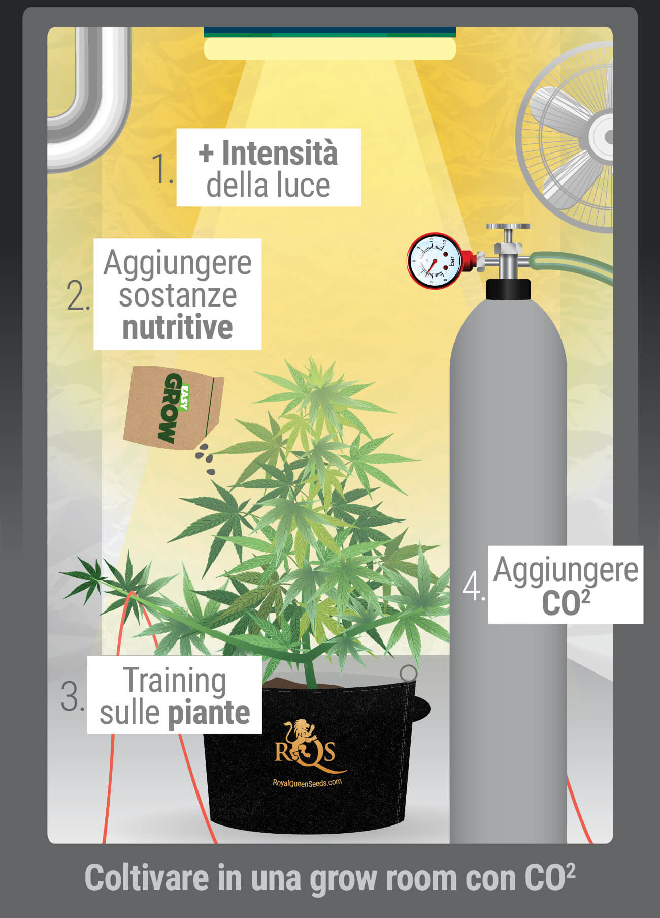 Quando Si Dovrebbe Usare la CO₂?