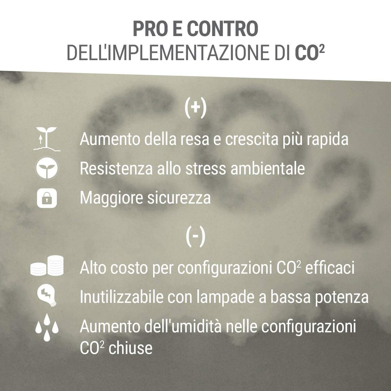 Pro e Contro dell'Implementazione di CO2