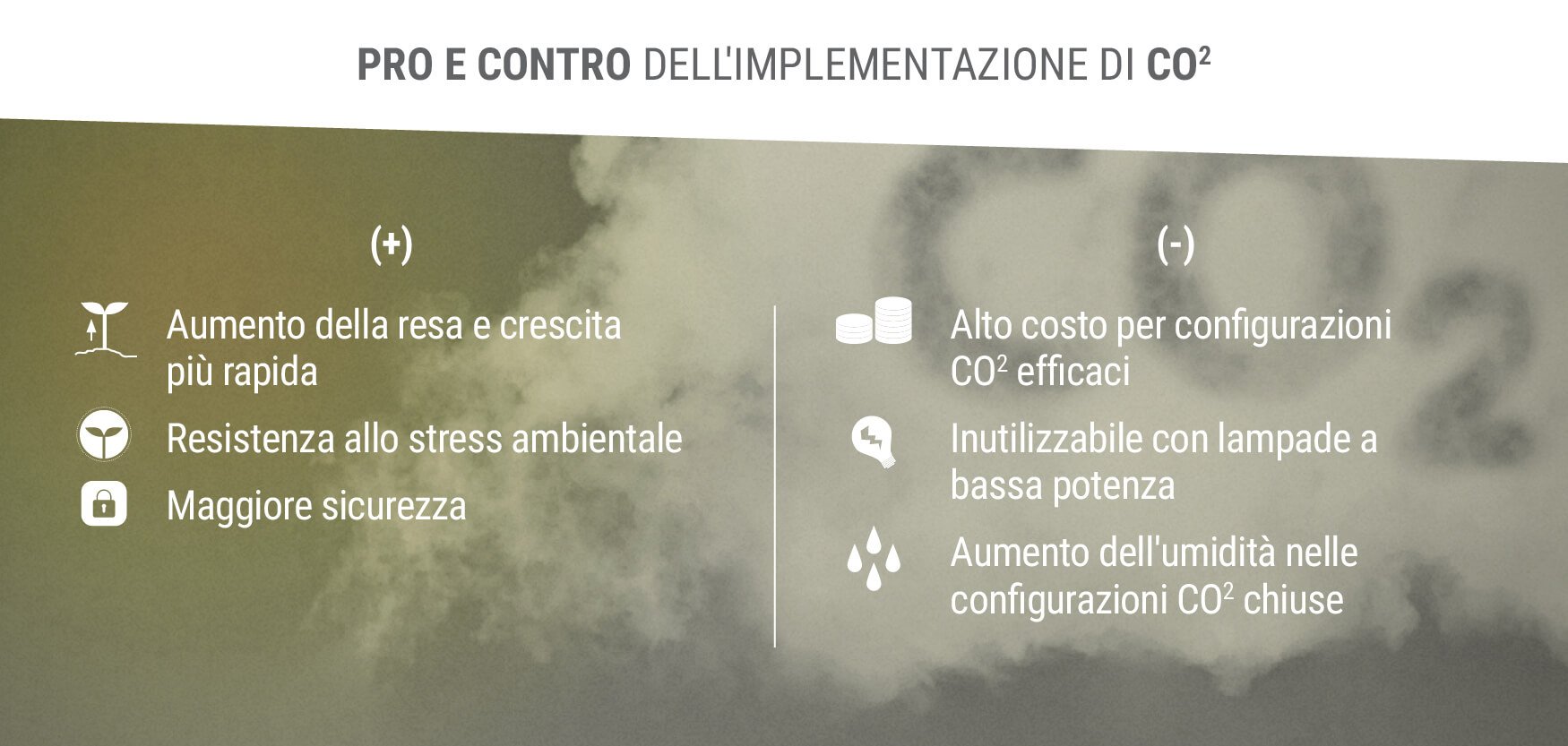 Pro e Contro dell'Implementazione di CO2