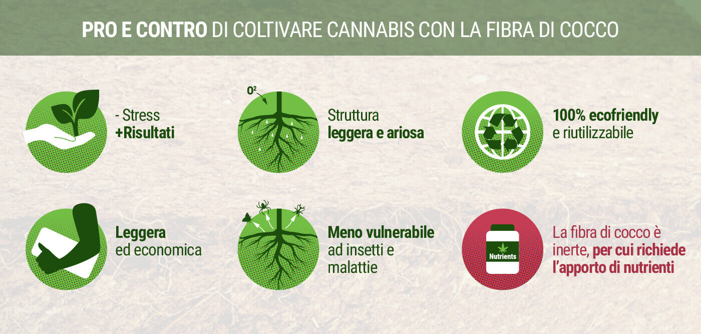 Pro e Contro di Coltivare Cannabis con la Fibra di Cocco